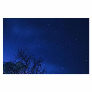 中国古代三级毛片梅丽莎
