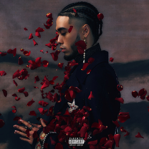 亚洲国产一区无码精品久久久久
