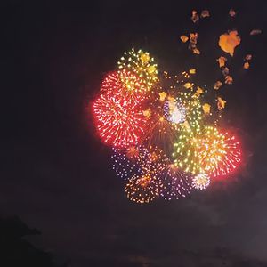 日本免费性爱视频
