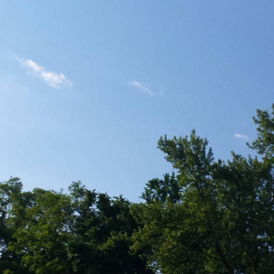 夸克夫妻营免费观看电视剧
