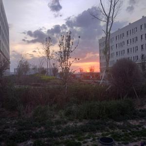 亚洲第一在线观看
