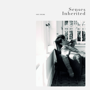 快捷优化小蛇导航
