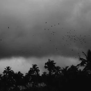 人人精品黄色在线观看
