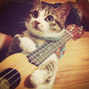 日本免费性爱视频
