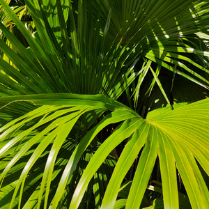 furry成人🔞漫画e站转
